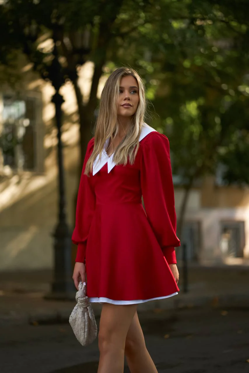 Dress with White Collar - Image 4